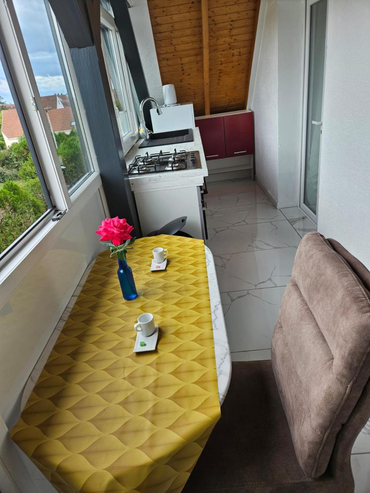 Apartamento Les Cigognes De Andolsheim Exterior foto